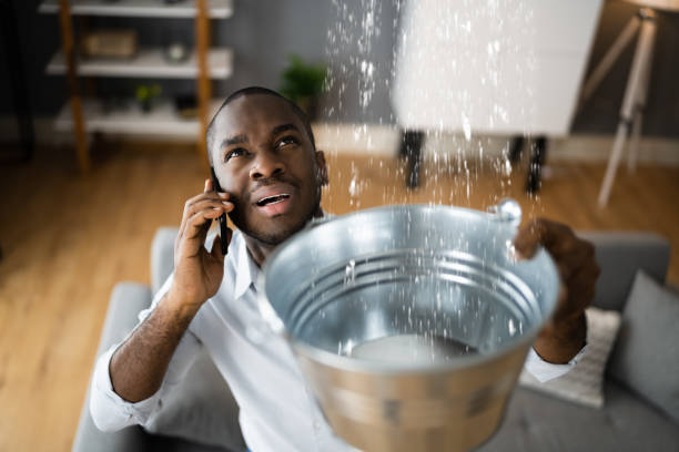 Best Flooded house restoration  in Harleysville, PA