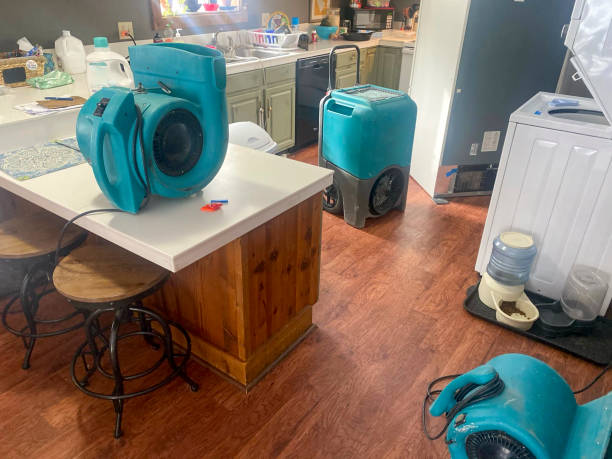 Best Local water damage restoration  in Harleysville, PA