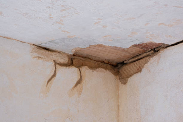 Best Water damage mitigation services  in Harleysville, PA