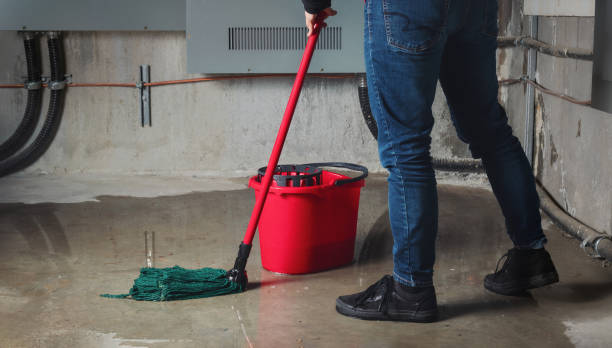 Best Fire Damage Restoration  in Harleysville, PA