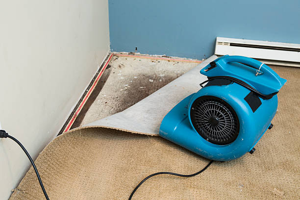 Best Residential water damage restoration  in Harleysville, PA